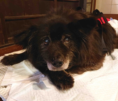 210824����ĥॵ1