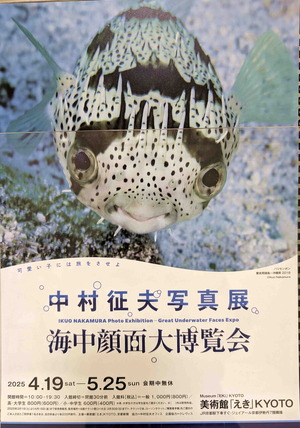 250524中村征夫展1