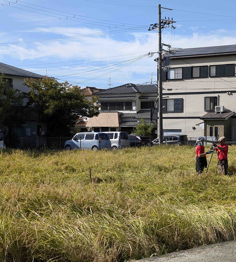 241027田植え1