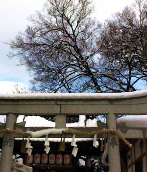 150102雪の正月9