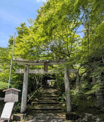 260606山科18