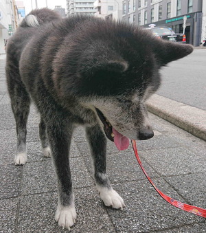 230818�Ԥ�������2