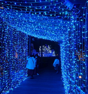 201213�ʤ�Хѡ�����3