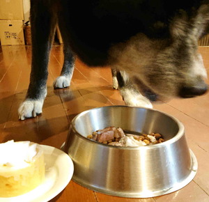 220122�ॵ12��ǯ10