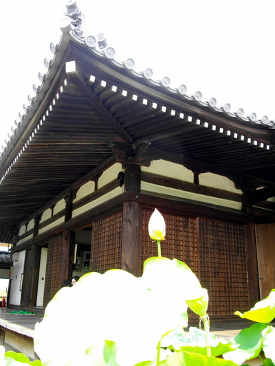 140719法金剛院7