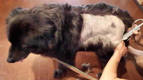 150705�ॵ��ȱ5