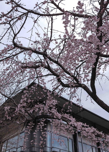 250328����綶��