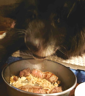 220122�ॵ12��ǯ3