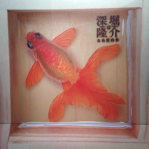 200805金魚6