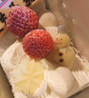 230124�ڥ������