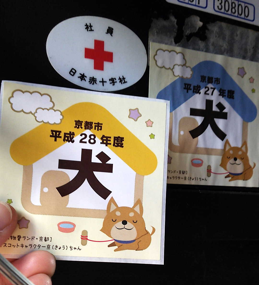 家のムサとおつう 京都町家ぐらし