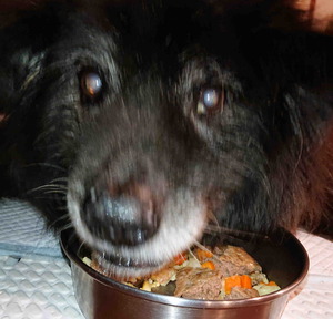 210921��������1