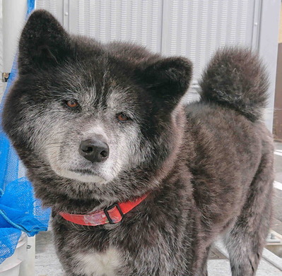 220302������2