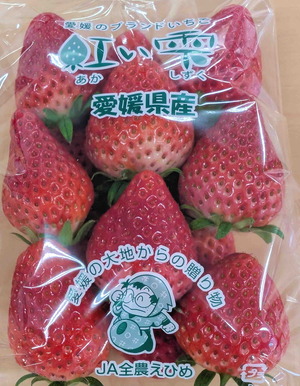 260317いちご食べ比べ6