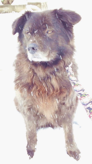 150102雪の正月5