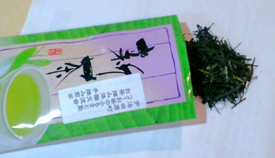110516新茶1