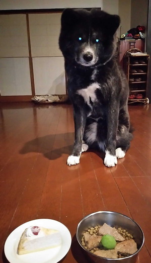170123�ॵ��ǰ��2