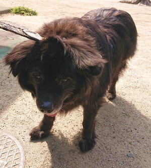 200409注射中止4