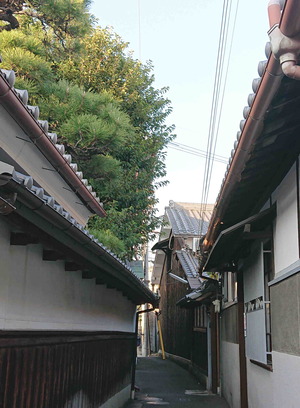 201117����6