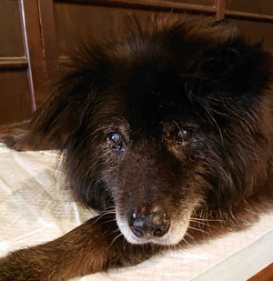 210921Ĺ����5