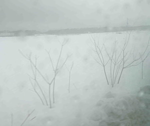 220104多賀1