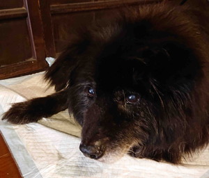 210921Ĺ����4