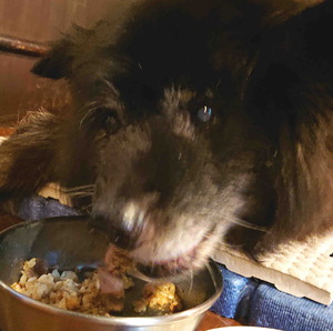 220122�ॵ12��ǯ6