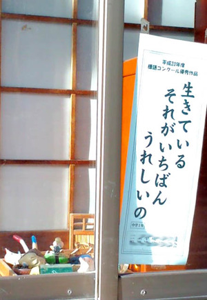 100929生きている