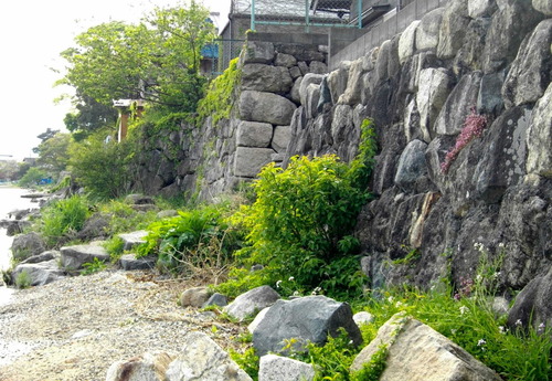 140506高島24