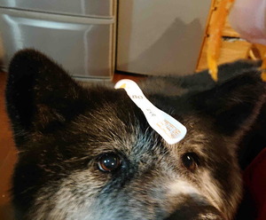 220110���Ĥ������