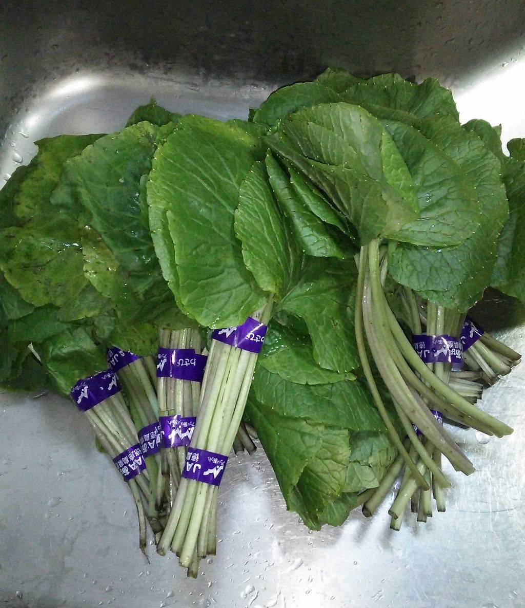 ワサビの葉と茎 京都町家ぐらし ワサビの葉と茎 京都町家ぐらし