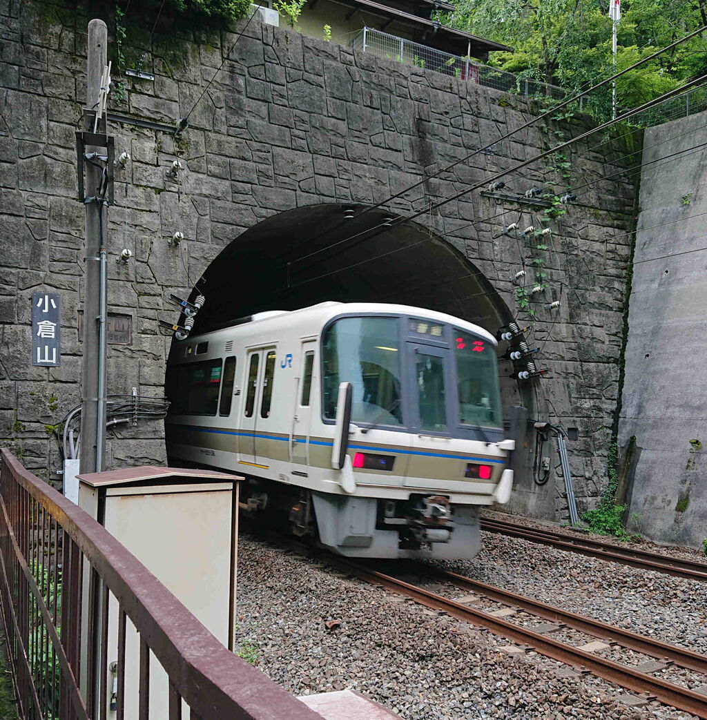 ゴトゴト 心地よい風に吹かれてトロッコ列車はゆく 京都町家ぐらし ゴトゴト 心地よい風に吹かれてトロッコ列車はゆく 京都町家ぐらし