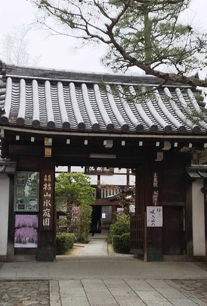 170406退蔵院1