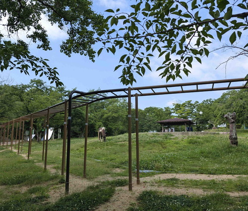 250626ȬȨ��7