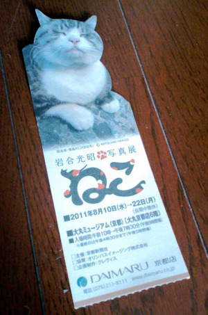 110820ねこ2
