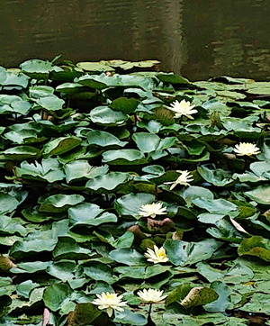 200813お盆4