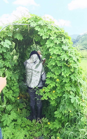 170809ƣ������18