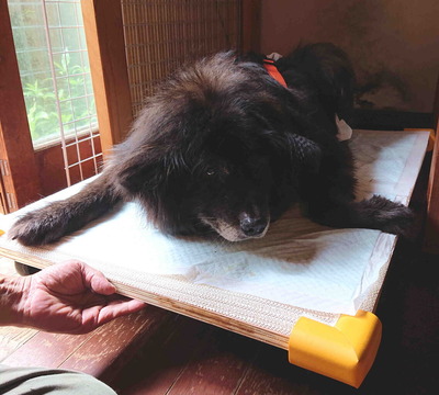 210816�����Ф���