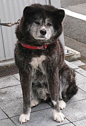 220302������1