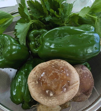 250715��ʬ�ԡ��ޥ�2