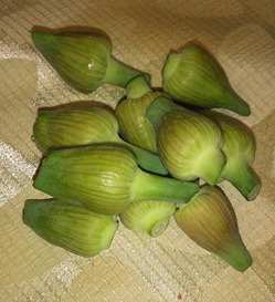 170518�ˤ�ˤ�˷��1