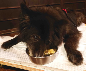 210824����ĥॵ4