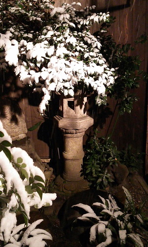 170115大雪