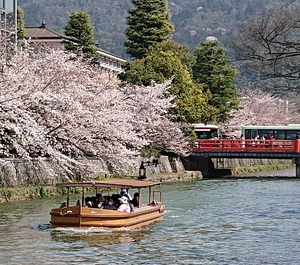 210327桜6