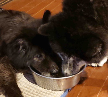 220708���ɤ�������