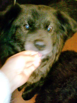 130122�ॵ2��ǯ14