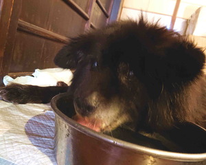 210921Ĺ����7