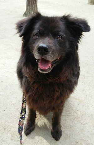 141025�ॵ����1