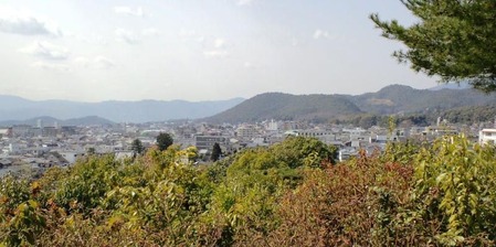 110319Á¥²¬»³3