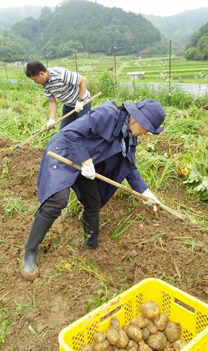 150709藤田農園3
